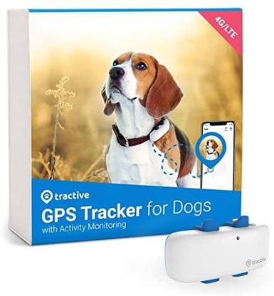 Tractive Dog & Cat Everyday Collar