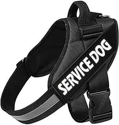 HOUSE OF COMMON Dog Safety Harness