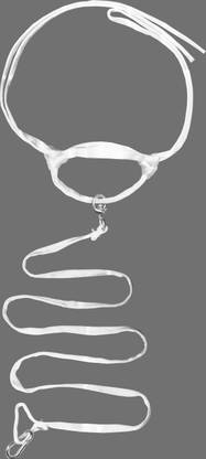 EFTI White Cow Buffalo Halter with 250CM leash, Full set of Cow Harness & Leash