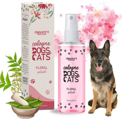 Chelsea Cologne Dog Perfume Spray For German Shepherd Dog | Pet Deodorizer | Shine Coat, Long Lasting Fragrance with Floral Splash Spray | Maintain Overall Hygiene, Cologne