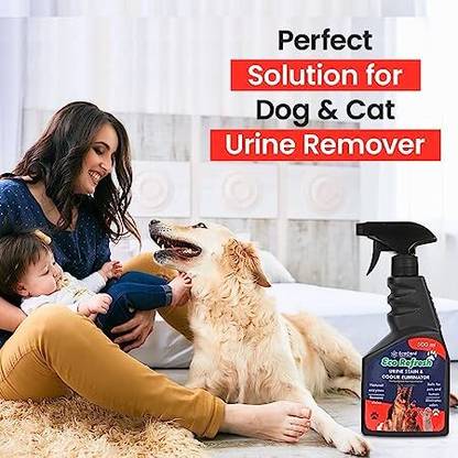 EcoCare EcoRefresh Urine stain & Pet Feces,Vomit,Drool Bad smell Remover Liquid Spray Citrus Cologne