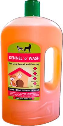 Patch and Marshall Orance Deodorizer