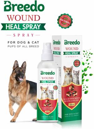 Breedo Wound Healing Spray For Dog & Cat || Lick-Safe, Non-Irritant Pet First Aid Kit Pet First Aid Kit