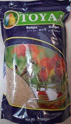 TOYAA Toya All Life Stages Vegetable Flavour Bird Food Seeds (Kangni) - 1000 Gram 1 kg Wet Adult, Senior, Young Bird Food
