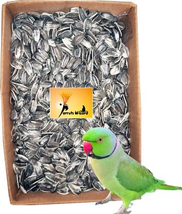 Parrots Wizard Big Size Sunflower Seed for African Grey & Indian Parrot, Macaw, Cockatoo Nuts 0.95 kg Dry Adult, Young, Senior Bird Food