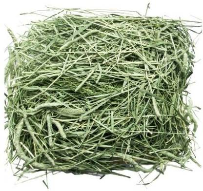 pgr pet go round Timothy Hay for Rabbits & Guinea Pigs 0.95 kg Dry Adult Rabbit Food
