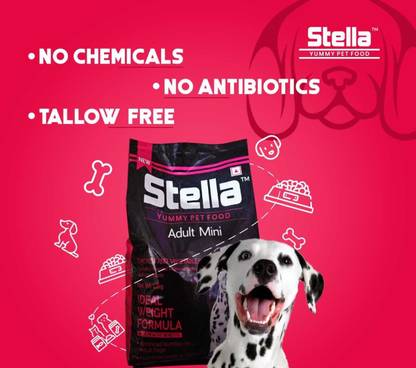 STELLA stella yummy pet food 1.2 kg Dry Adult Dog Food