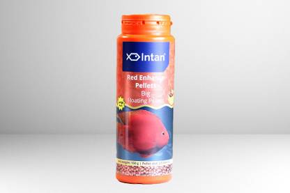 aqualyf pets Intan Red Enhance Floating (Big - 2.5 mm), 150 gms 0.15 kg Dry Adult Fish Food