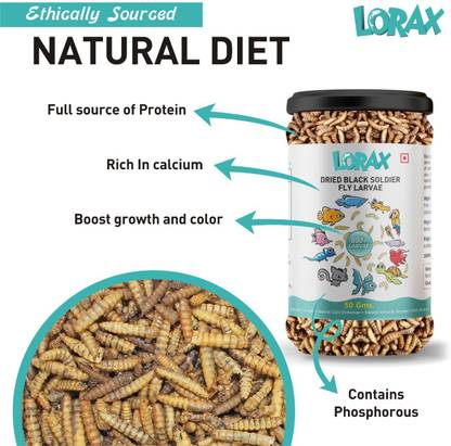 Lorax Black Soldier Fly Larvae fish food 50 gram Chicken 0.05 kg Dry Young Fish Food