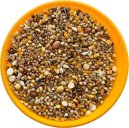 VM Mart Premium Pigeon Birds Seed Mix Daily Food 1Kg + 100gm Nuts 1.1 kg Dry Young, Adult, Senior Bird Food