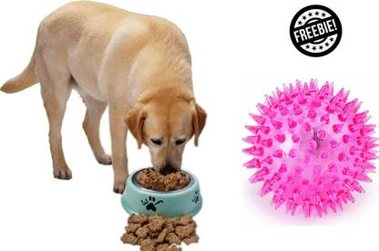 KUPPY Teddy Treats Puppy Biscuits in Teddy Bear Shapes with Free Spike Ball Chicken 0.5 kg Dry Young Dog & Cat Food