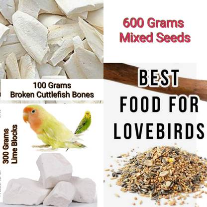 rayyans Birds Seeds and minerals Combo Nuts 1 kg Dry Young Bird Food