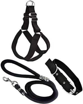 Unique Dog Head Collar