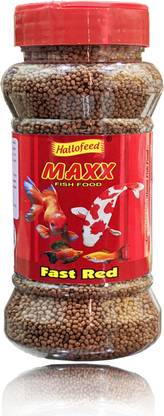 Hallofeed MAXX -100 Gm (FAST RED FISH FOOD) Fish 0.1 kg Dry Adult Fish Food