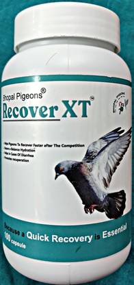 bhopal pigeons RECOVER XT CAPSULES FOR PIGEONS RECOVERY AFTER HEAVY FLIGHT Pet Health Supplements