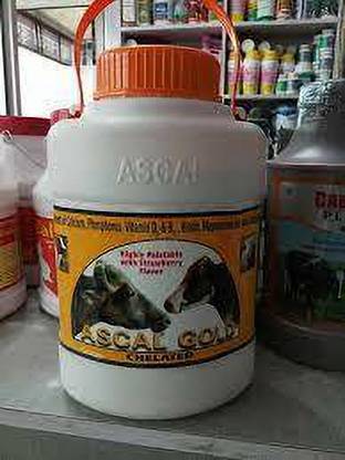 Ascal Gold Pet Health Supplements
