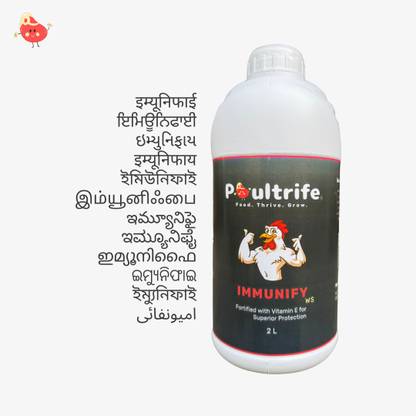 Poultrife IMMUNIFY ws - Boost Immunity, Enhance Growth, Ensure Superior Health Pet Health Supplements