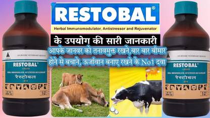 Ayurvet RESTOBAL is a potent combination of standardized herbal ingredients Pet Health Supplements