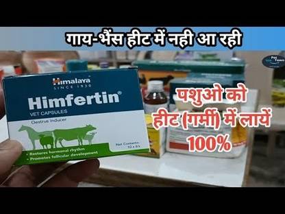PASU WELFARE Himalaya Himfertin regularizes the ovarian functions of cows improves hormonal Pet Health Supplements