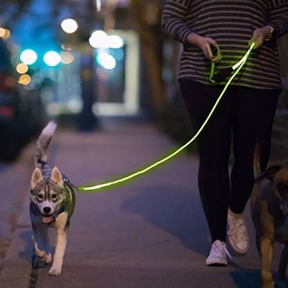NiteyLeash LED Glow in The Dark Pet Dog Leash (Green) 54.22 cm Dog Chain Leash