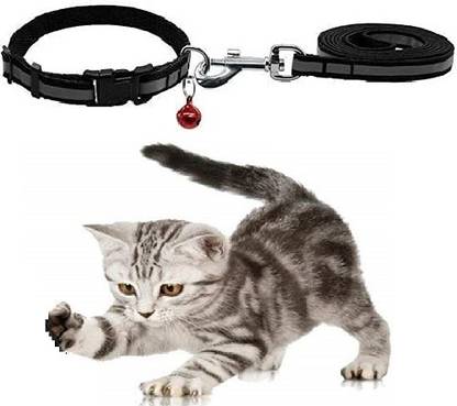 DOSAN 160 cm Dog & Cat Cord Leash