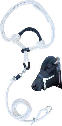 EFTI Cow and buffalo adjustable halter with 250 cm Cow Cord Leash
