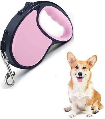 d s brothers 15 cm Dog & Cat Chain Leash