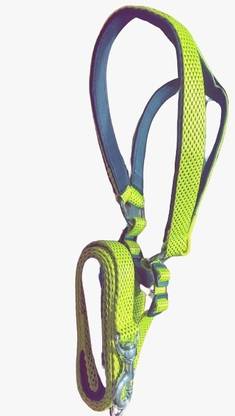 SUPER CHAIN 164 cm Dog Cord Leash