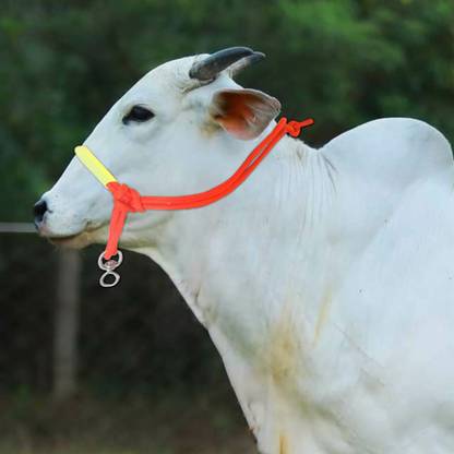 eze enterprises Cow/Bull/Buffalo Mohri with Bhanwar kadhi,Nose Protect with Rubber Hose Pipe 143 cm Cow Cord Leash