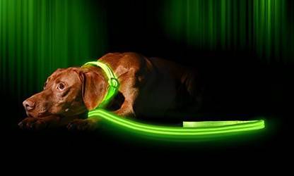 Illumiseen Led Dog Leash- USB Rechargeable - Your Dog Will Be More Visible & Safe - 6 Color 54.22 cm Dog Chain Leash