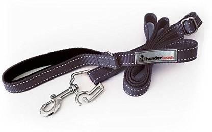 digPETS ThunderLeash Large - For dogs over 25 lbs. 2.5 cm Dog Chain Leash