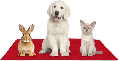 Newnik Absorbent Waterproof Reusable Washable Pee & Sleep Pads for Dogs, Cats, Rabbits Cat, Dog, Rabbit Pet Mat