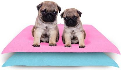 Amorite Reusable Washable Pee Pads-Puppies Washable Dog/Cat Diapers Pack of 2 Pink + Sea Blue Dog, Cat, Guinea Pig, Hamster, Miniature Pig, Rabbit, Tortoise Pet Mat