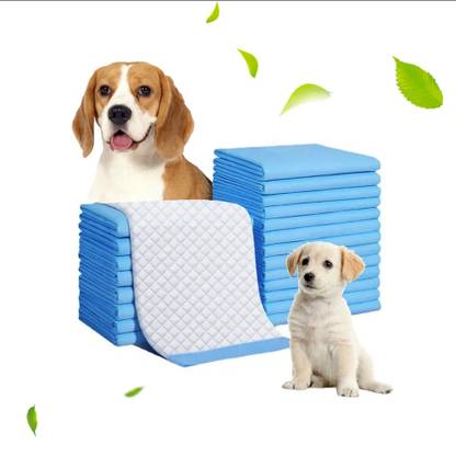Patch and Marshall XL Puppy Training Pee & Potty Pads | Rapid Dry Surface & Absorbent Core ,60 Pads Cat, Dog, Rabbit Pet Mat