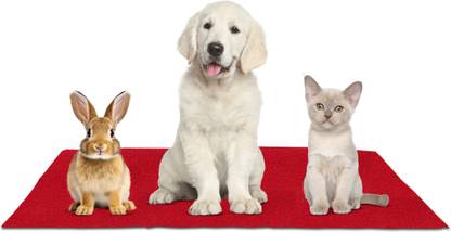 Newnik UP-S-CHERRYRED Dog, Cat, Rabbit Pet Mat