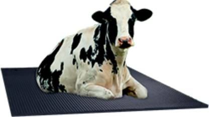 SSENRW MILKWAY Cow, Cat, Dog, Guinea Pig, Hamster, Miniature Pig Pet Mat