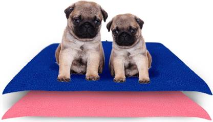 Amorite Reusable Washable Pee Pads-Puppies Washable Dog/Cat Diapers Pack of 2 Royal Blue + Salmon Rose Dog, Cat, Guinea Pig, Hamster, Miniature Pig, Rabbit, Tortoise Pet Mat