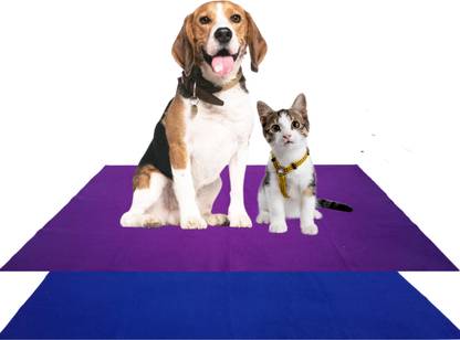 AHC HUCHA Dry Sheets For Pets|Size-100X70,Colour-Purple+Royal Blue Dog, Cat Pet Mat