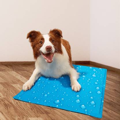 Nootie Printed Cooling Mat-(XL)-(81*96cm) Cat, Dog Pet Mat