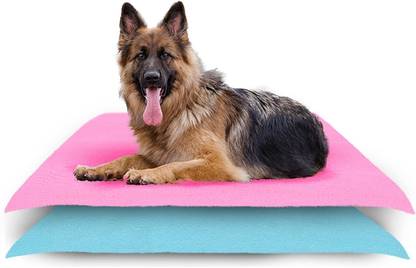 Amorite Reusable Washable Pee Pads-Puppies Washable Dog/Cat Diapers Pack of 2 Pink + Sea Blue Dog, Cat, Guinea Pig, Hamster, Miniature Pig, Rabbit, Tortoise Pet Mat