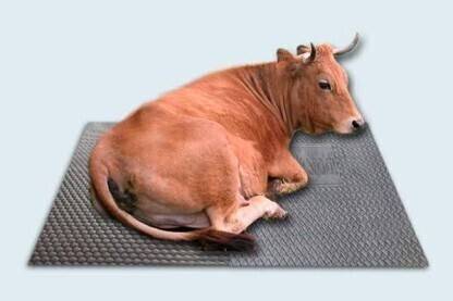 Ursus Cow Mat, Mat for Cow, Buffalo, Bull,Horse, Rubber Mat for All Animal Cow, Dog, Guinea Pig, Hamster, Miniature Pig Pet Mat