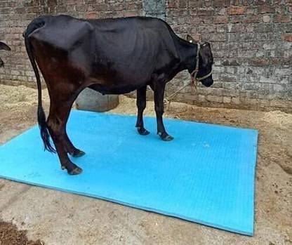 Ursus Cowmat Waterproof,feeding, Mat for Animal Buffalo,( Blue) Cow, Dog, Guinea Pig, Hamster, Miniature Pig Pet Mat