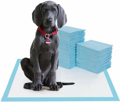 Goodness Dog and Puppy Training Pads, Disposable Dog Pee Pads, Ultra Absorbent Leak-Proof Dog, Rabbit, Cat Pet Mat