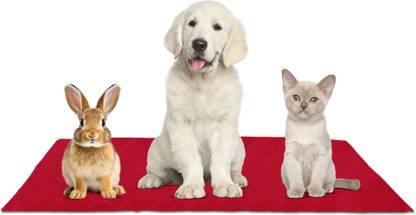 Newnik UP-M-MAROON Dog, Cat, Rabbit Pet Mat