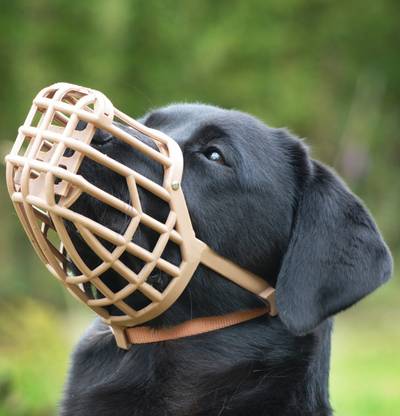 DOSAN Best Quality Plastic Dogs Muzzle Basket ,Strong But soft Material (NO6) Extra Large Other Dog Muzzle