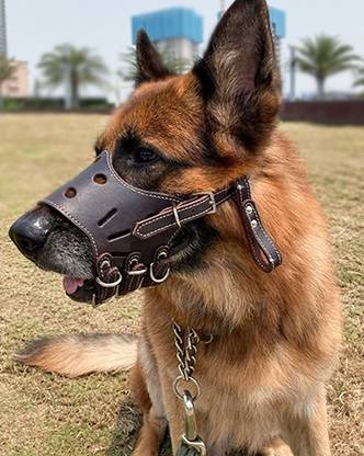 DOSAN Adjustable Strap Muzzle For Dogs ,Breathable and Drinkable Medium Strips Dog Muzzle