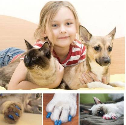 PET FUN Nail Cap