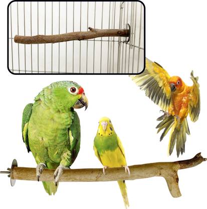 CONGO NATURAL PARROT TREAT Climbing Perch Bird