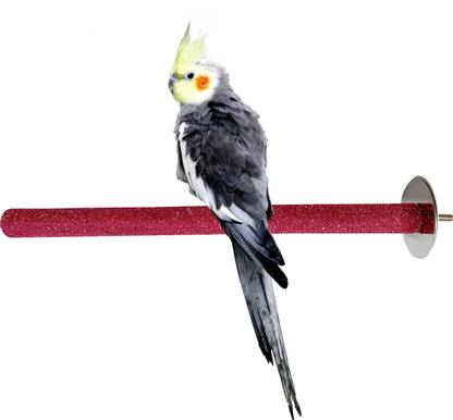 CONGO NATURAL PARROT TREAT Grooming Perch Bird