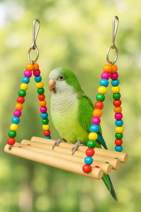 Beak Bite Excercise Perch Bird